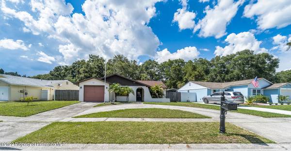 4913 Traskwood Court, Tampa, FL 33624