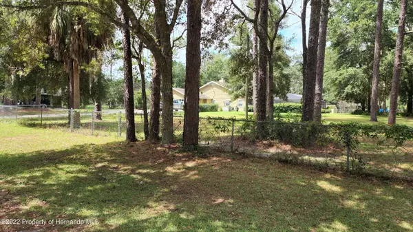 Dunnellon, FL 34433,7830 W Laura Lou Lane