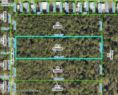 00 La Pine Road, Brooksville, FL 34602