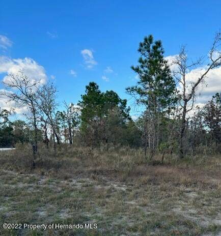 0 SANDERS AVE - LOT 21, Weeki Wachee, FL 34614