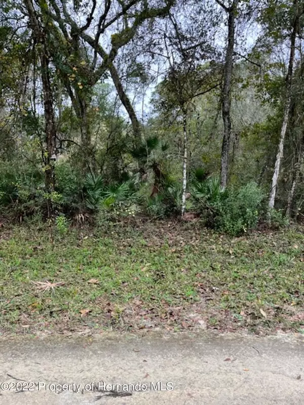 Webster, FL 33597,0 Table Rock