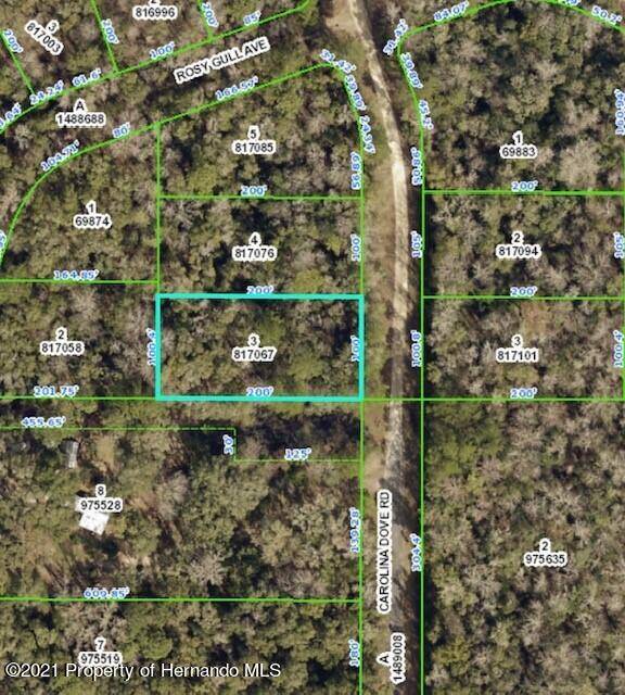 Lot 3 Carolina Dove Road, Weeki Wachee, FL 34614