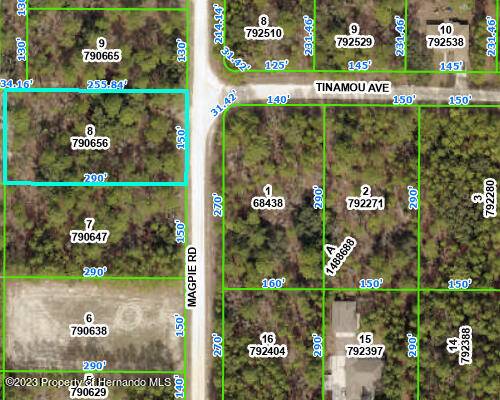 lot 8 Magpie Road, Weeki Wachee, FL 34614