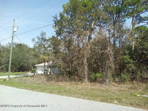 0 Nuzum Road, Spring Hill, FL 34613