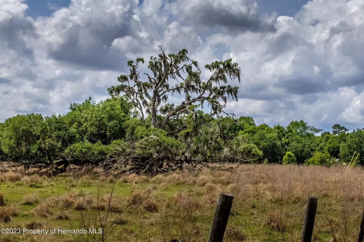 Brooksville, FL 34604,0 Spangler Tract 3 Avenue