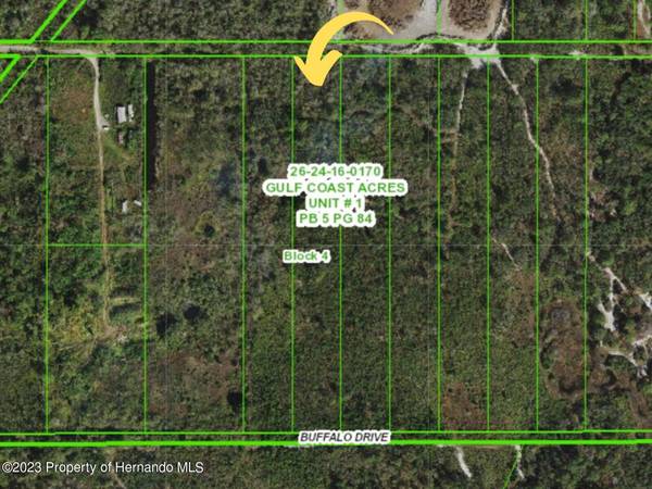 0 Rhodes Road, Hudson, FL 34667