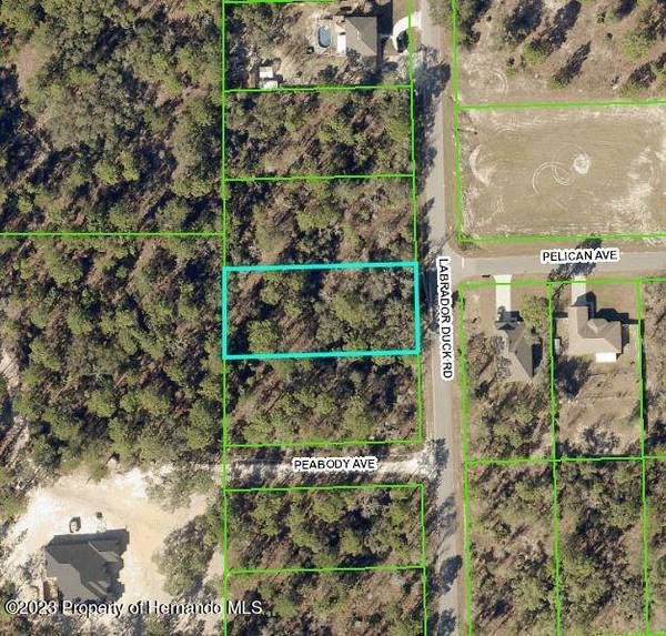 0 Labrador Duck Rd Lot 8, Brooksville, FL 34613