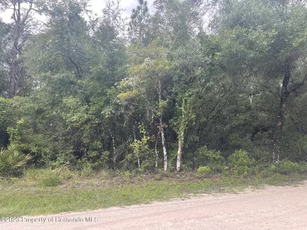 Lot 5 Easter, Webster, FL 33597