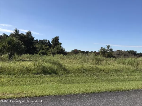 Bushnell, FL 33513,5690 Old Hwy 313 Road