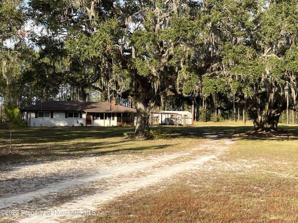 7393 CR 353 NE, Old Town, FL 32680