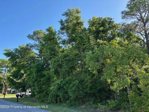 Lot 17 Simmons Street, Brooksville, FL 34613