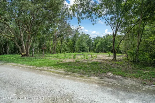 Webster, FL 33597,0 Elaine Drive