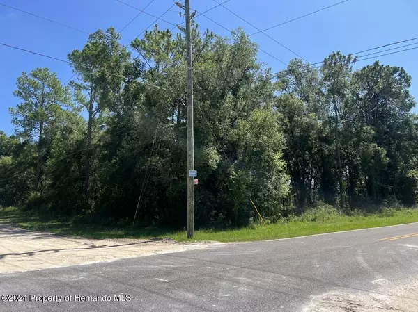 Webster, FL 33597,Lot #20 Richardson Boulevard