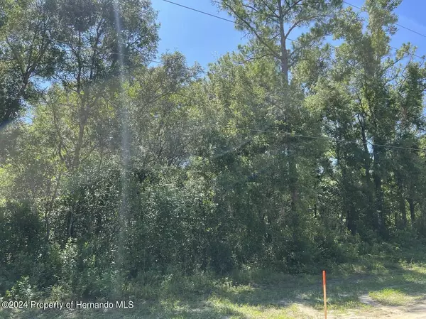 Webster, FL 33597,Lot #20 Richardson Boulevard