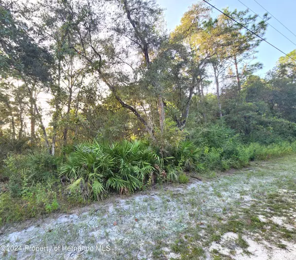 Weeki Wachee, FL 34614,00 Canyon Swallow