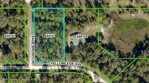 0 Sage Brush Lane, Weeki Wachee, FL 34614