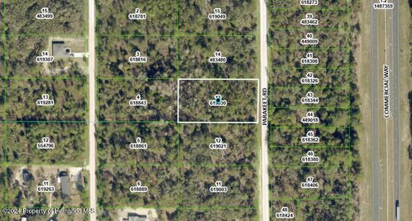 18219 Parakeet Road, Brooksville, FL 34614