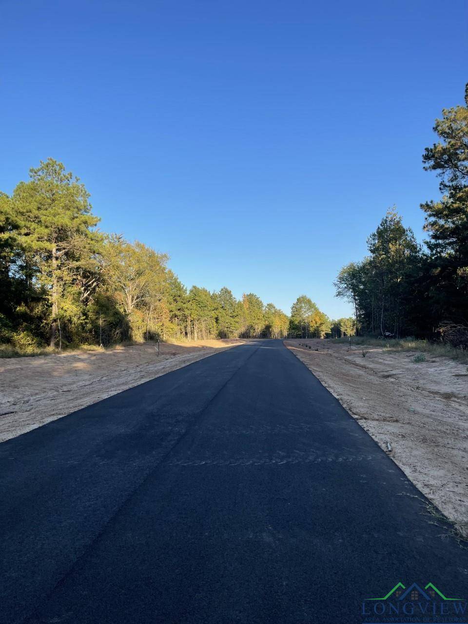 New Diana, TX 75640,TBD LOT 7 STONEBROOK CT