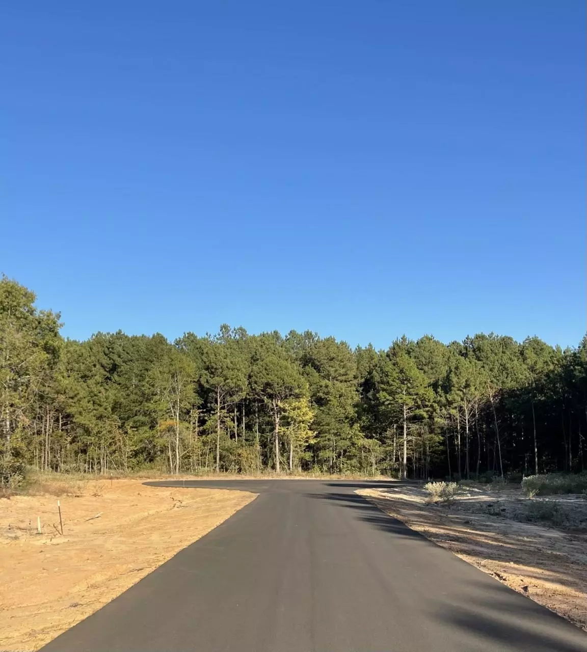 New Diana, TX 75640,TBD LOT 20 STONEBROOK CT