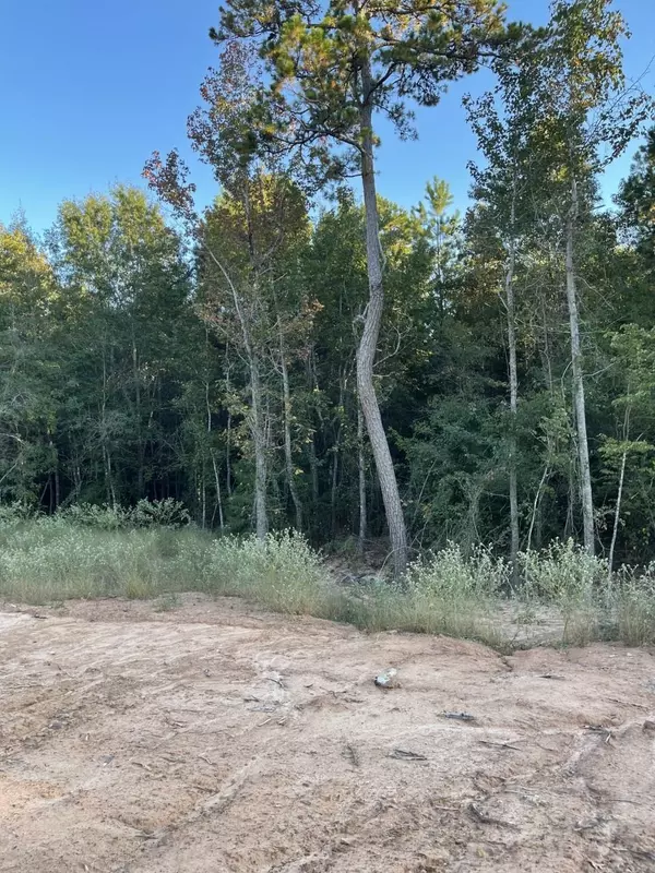 New Diana, TX 75640,TBD LOT 27 STONEBROOK CT