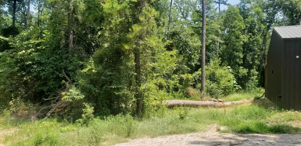 lot 146 Oakwood Drive, Gilmer, TX 75645