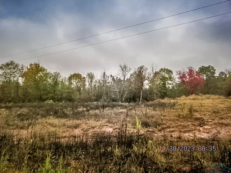 LOT 2 Keasler Rd, Hallsville, TX 75650