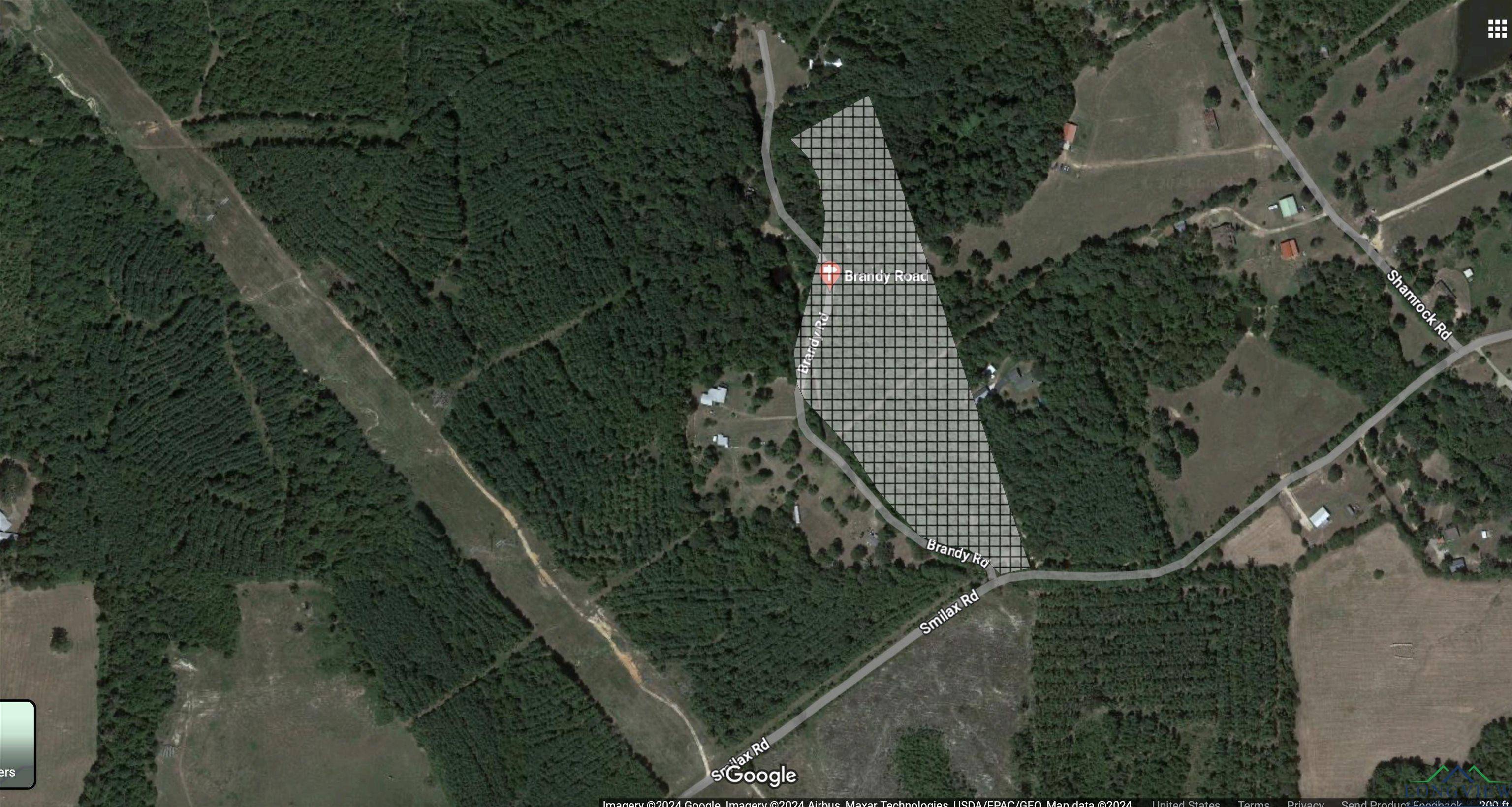 Diana, TX 75640,TBD Brandy Rd