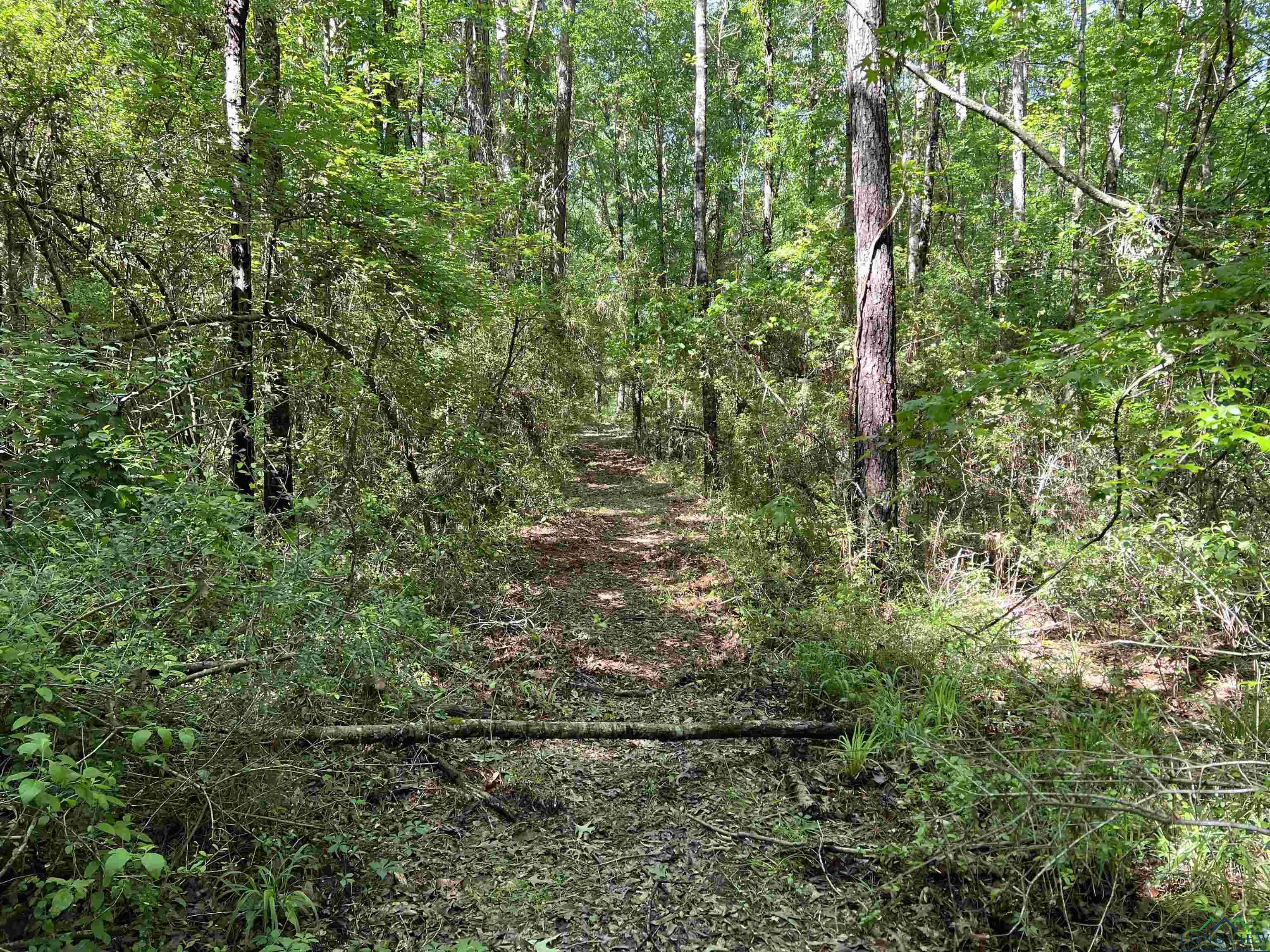 Gary City, TX 75643,TBD County Road 127