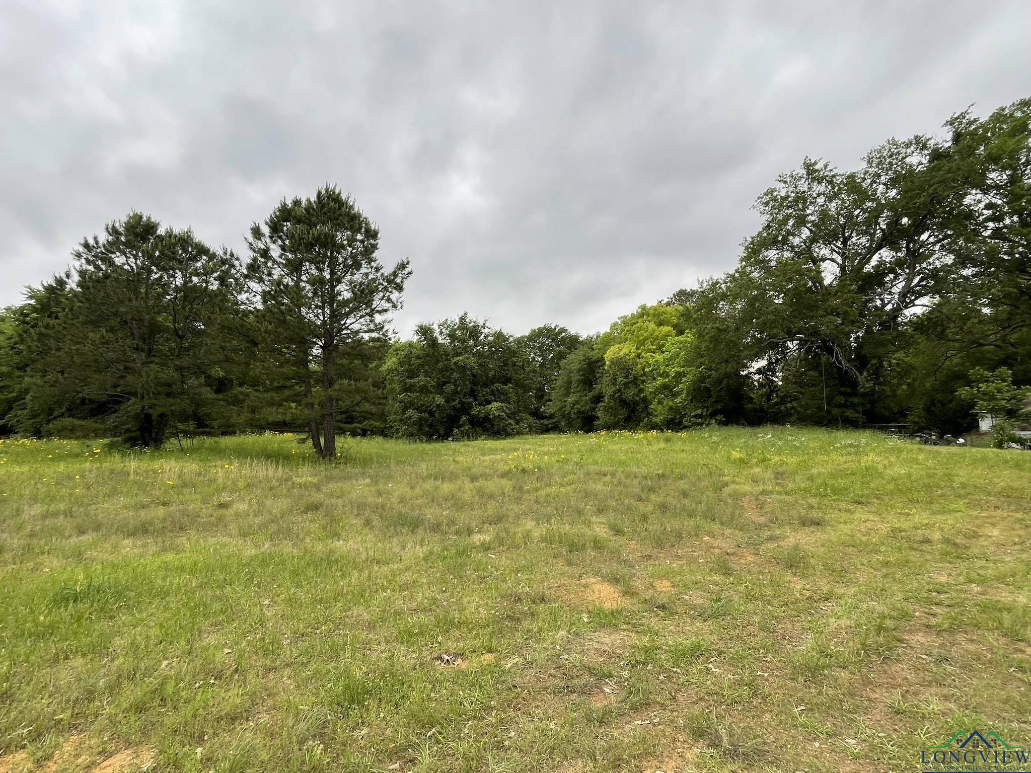 Gladewater, TX 75647,TBD N RODEO DR