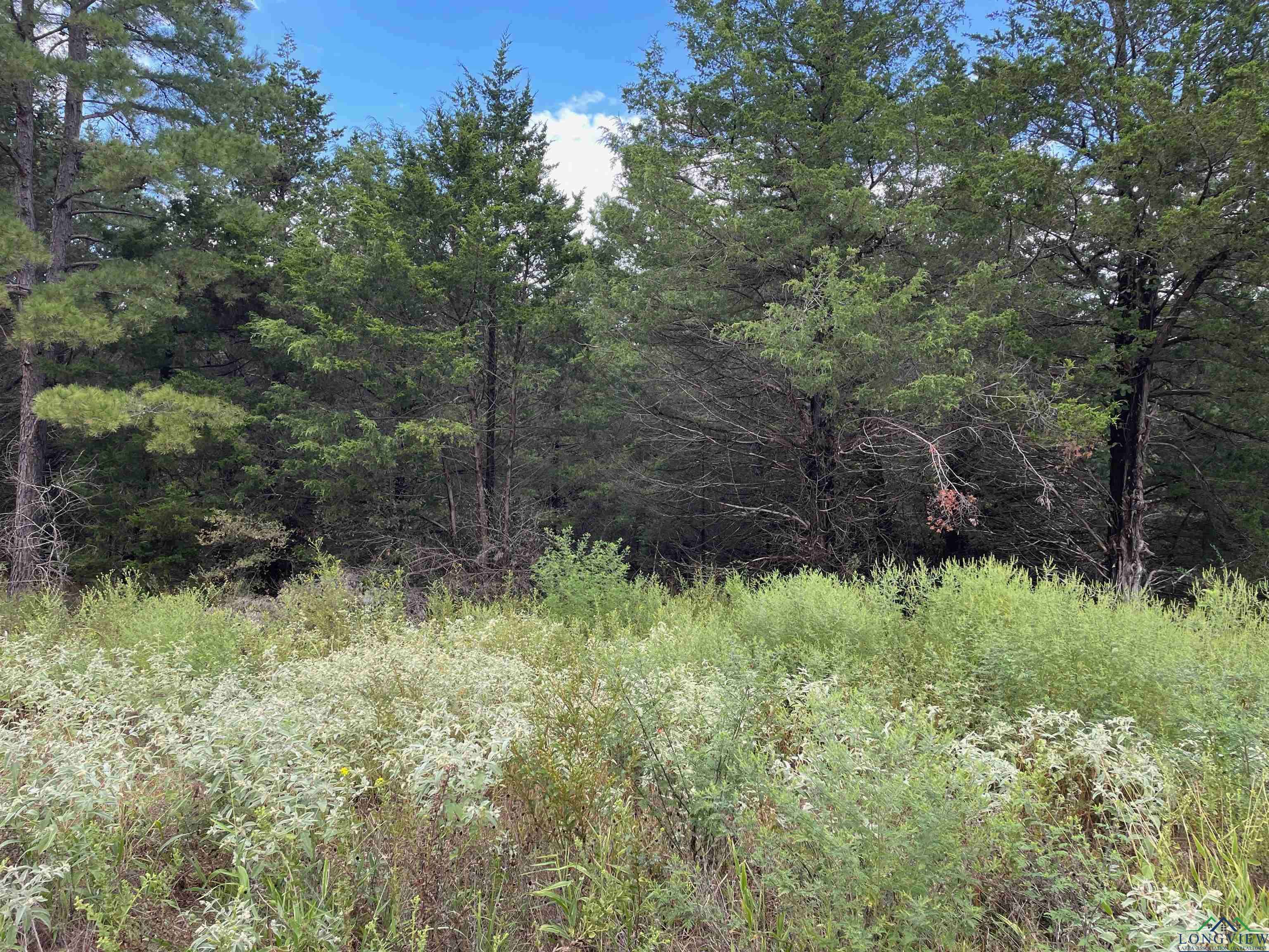 TBD Cedarpark Place Lot 17, Lindale, TX 75771