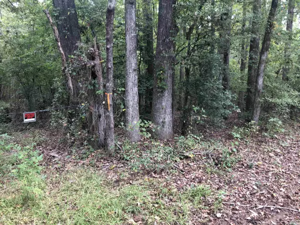 Henderson, TX 75652,County Road 367 & 355, Henderson