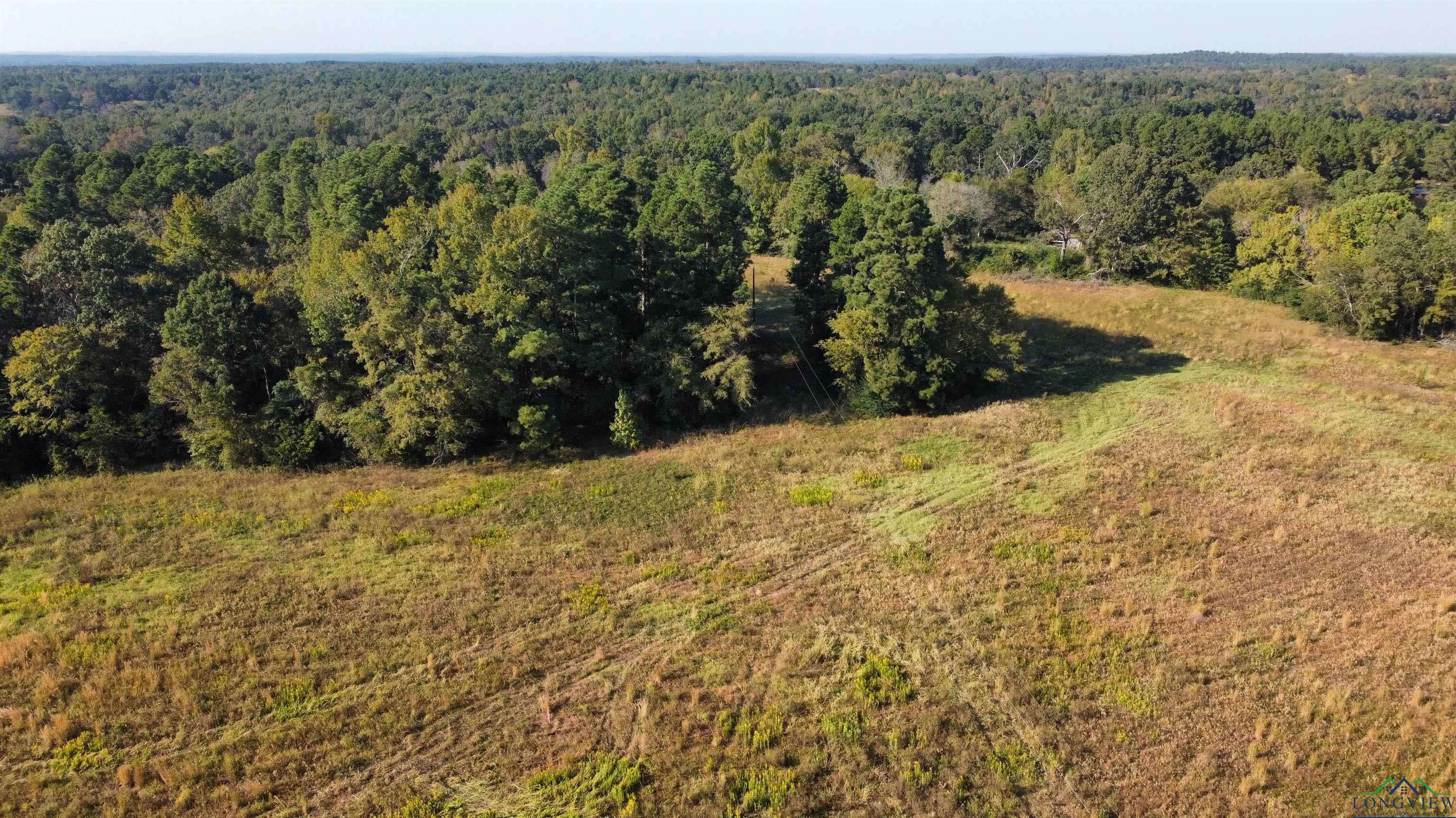 Henderson, TX 75652,TBD W CR 4187