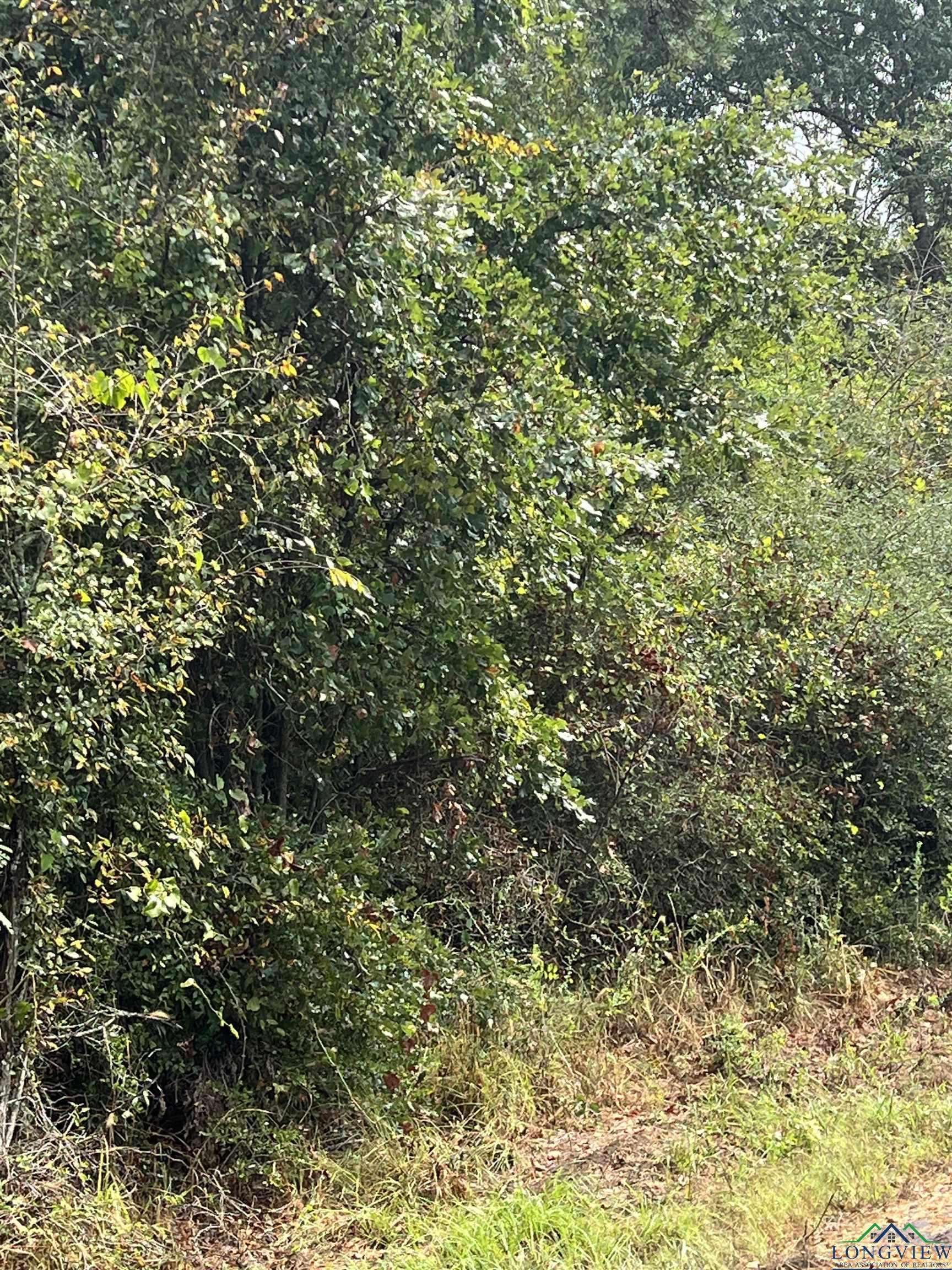 TBD Shady Grove RD, Jefferson, TX 75657
