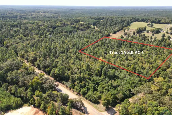 TBD CR 4122, Bivins, TX 75555