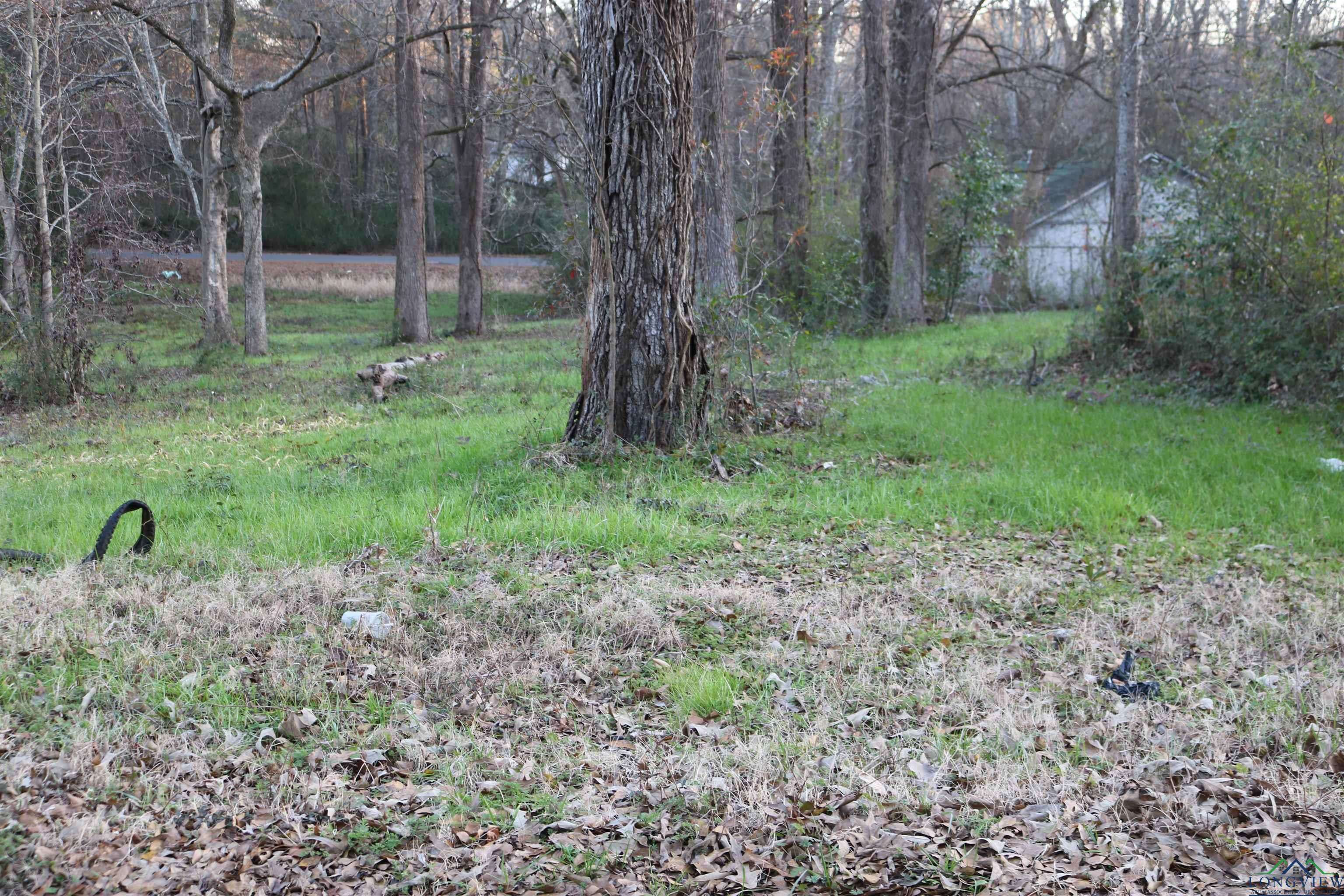 Marshall, TX 75670,TBD Morton & Pemberton