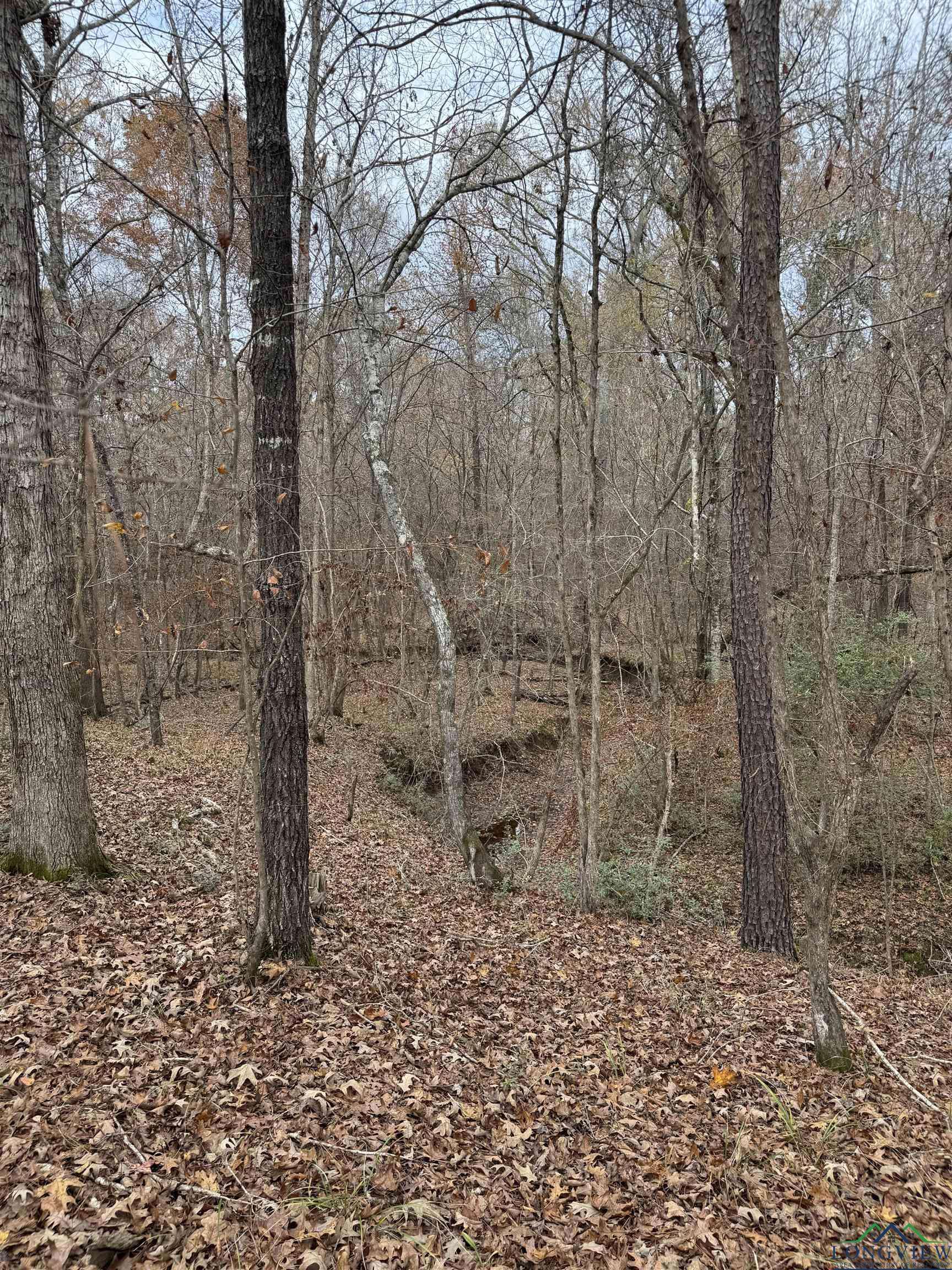 Elysian Fields, TX 75642,TBD Private Rd 1331