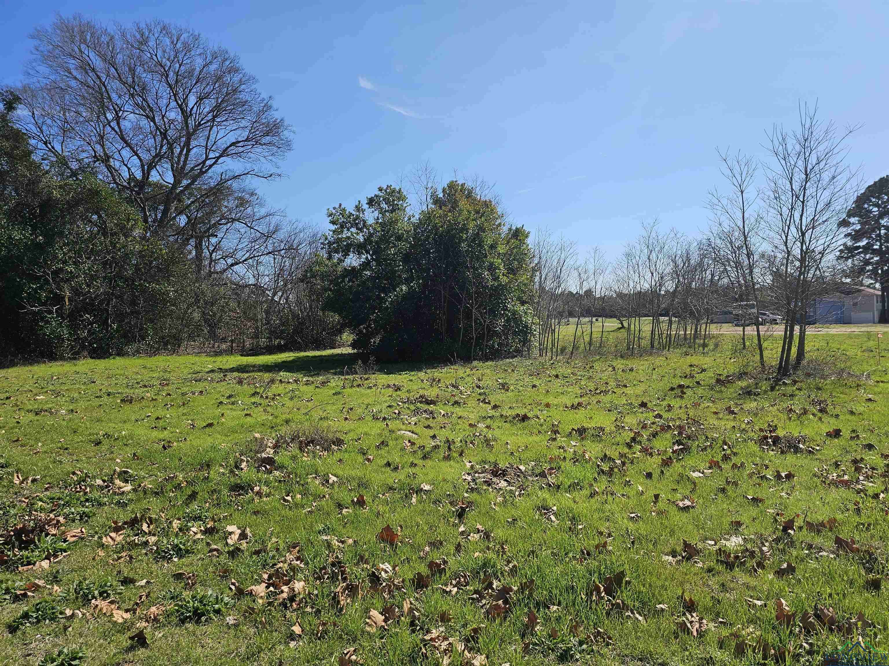 TBD FM 1002 (.58 ACRES), Big Sandy, TX 75755
