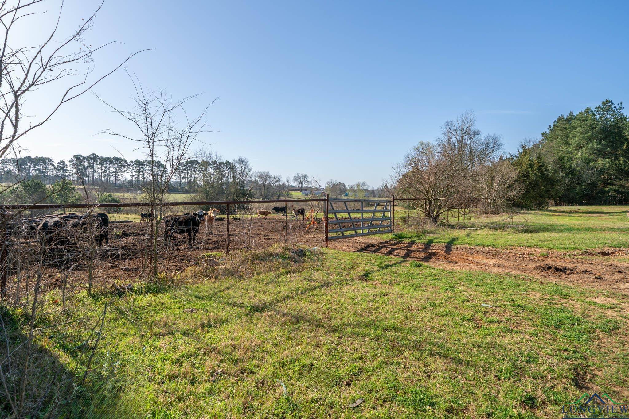 Longview, TX 75602,6248 whitehurst Dr