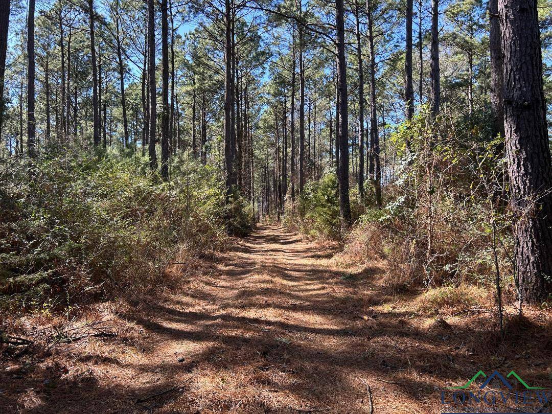 Linden, TX 75563,TBD CR 1453