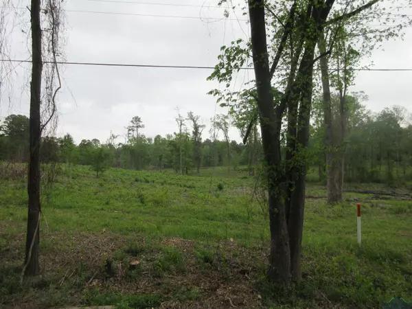 Longview, TX 75603,tbd SH 149