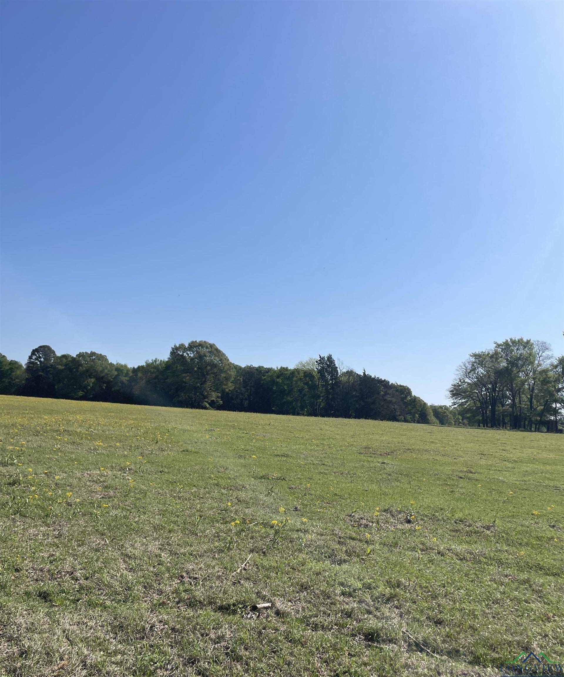 Pittsburg, TX 75686,TBD FM 2455