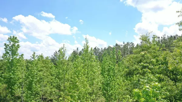 Queen City, TX 75572,0000 County Road 3773