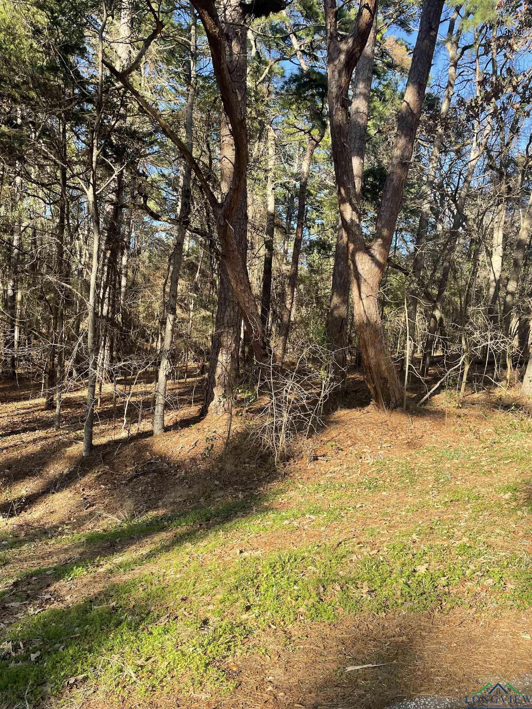286 Susan Dr, Bullard, TX 75757