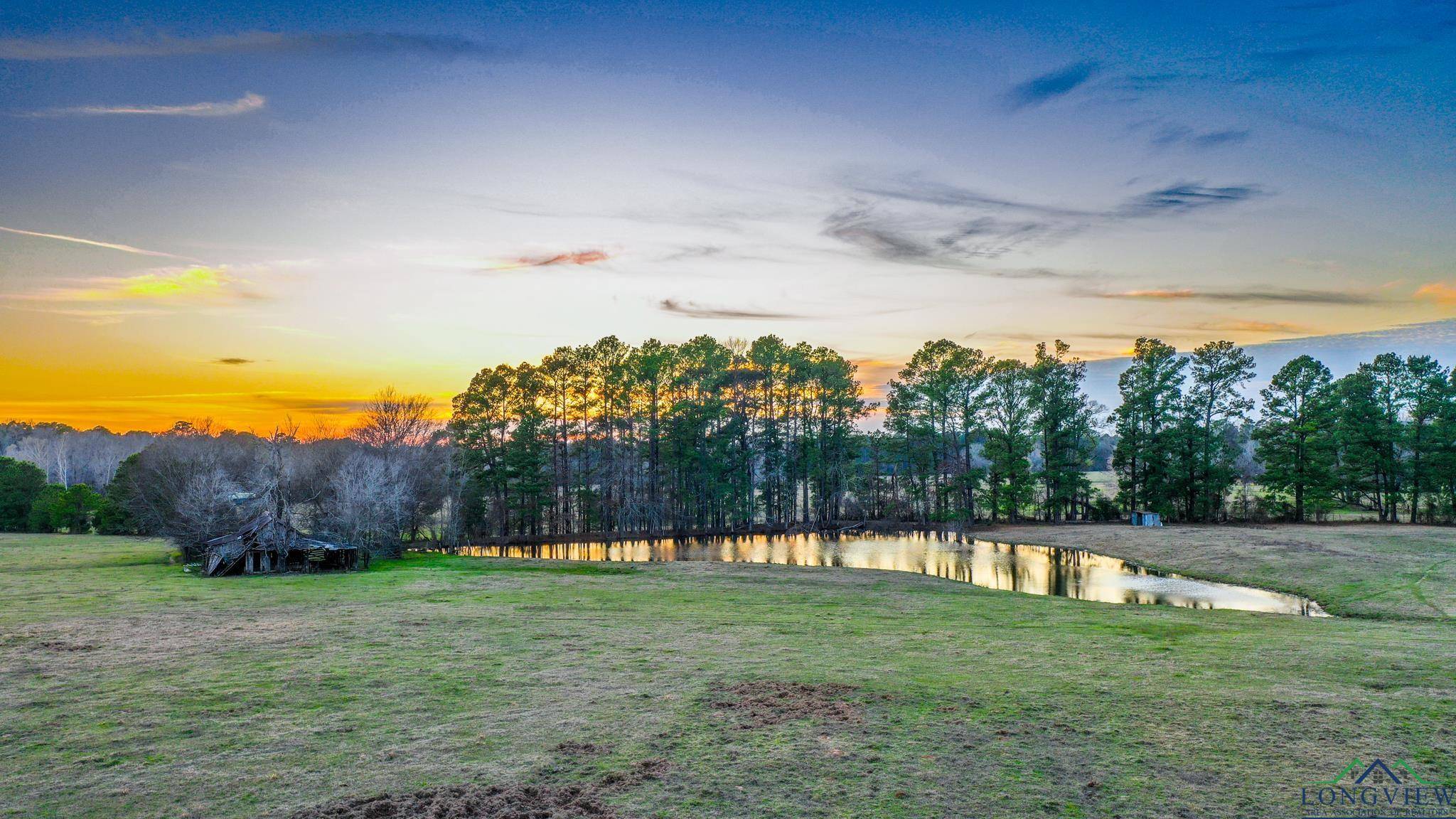 000 E FM 1794, De Berry, TX 75639