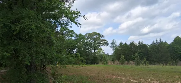 Avinger, TX 75630,tbd cr 1581