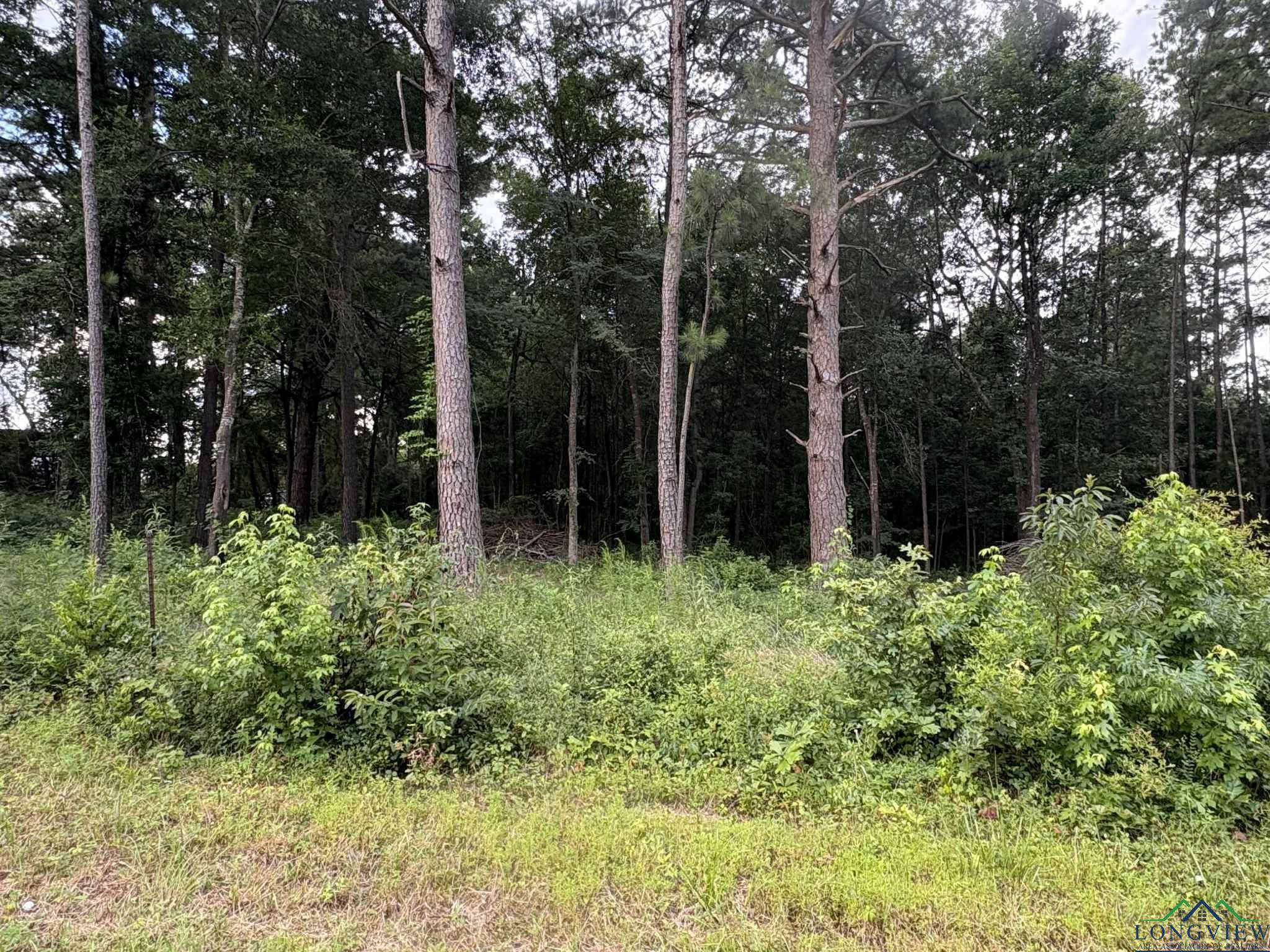 White Oak, TX 75693,TBD 1 East FM 2275