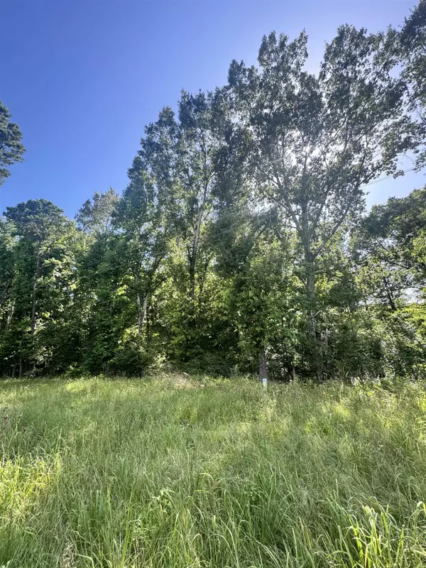 TBD FM 2658, Tatum, TX 75691