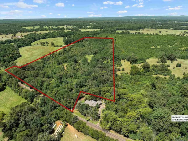 Laneville, TX 75667,TBD S FM 225