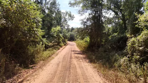 Jefferson, TX 75657,TBD Liberty Road