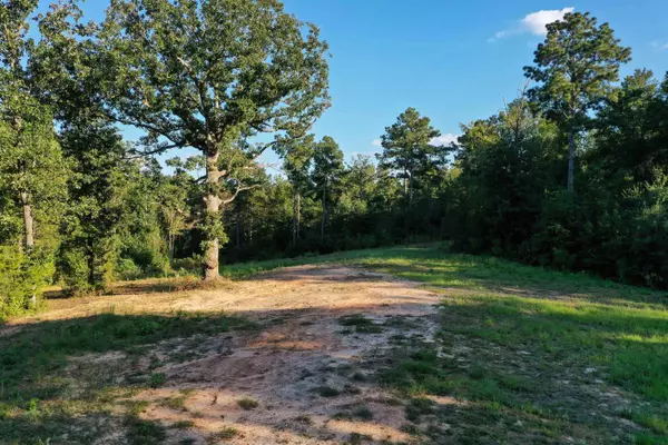 Hallsville, TX 75650,6950 Peter Bonner Rd